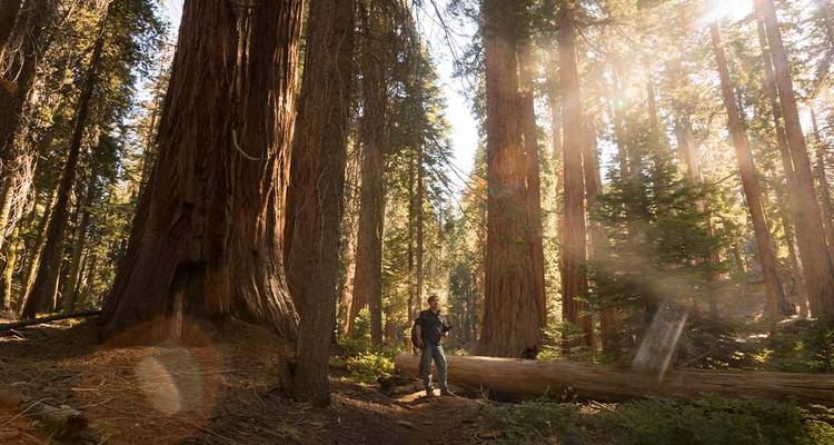 Les meilleurs parcs nationaux de Californie - Intrepid Travel 6