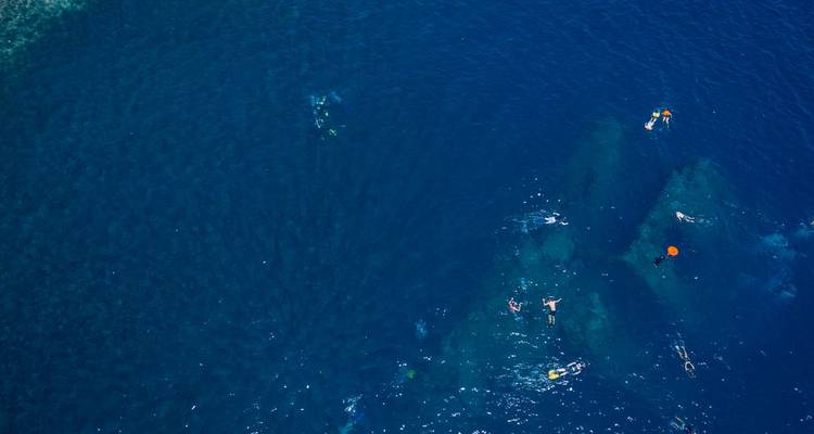 People snorkeling in the clear blue ocean.