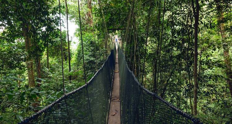 Borneo Family Holiday (14 destinations) - Intrepid Travel 7