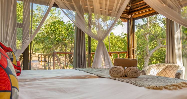 Kruger & Cape Town Short Break by Plane - Intrepid Travel 3