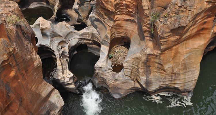 Kruger & Cape Town Short Break by Plane - Intrepid Travel 9