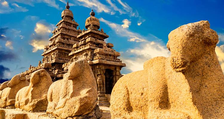 India sur y norte (from Kochi (Cochin) to Delhi) - Intrepid Travel 2