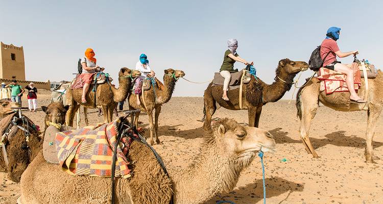 Marruecos al descubierto (39 destinations) - Intrepid Travel 8