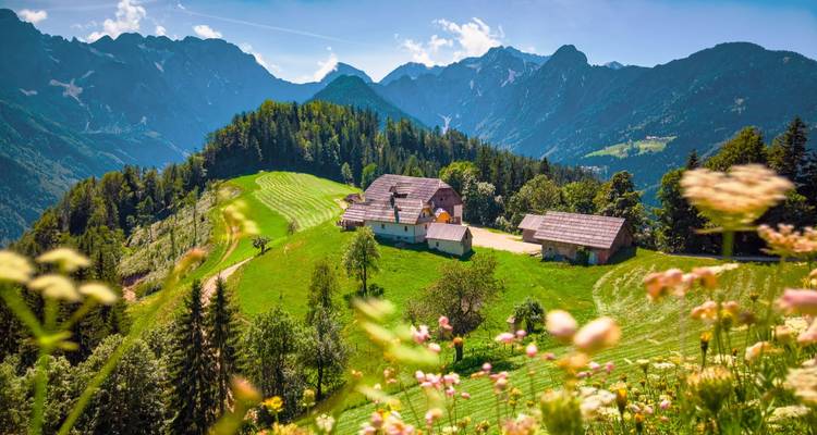 Villes impériales et Alpes autrichiennes depuis Budapest - Balkan and more 8