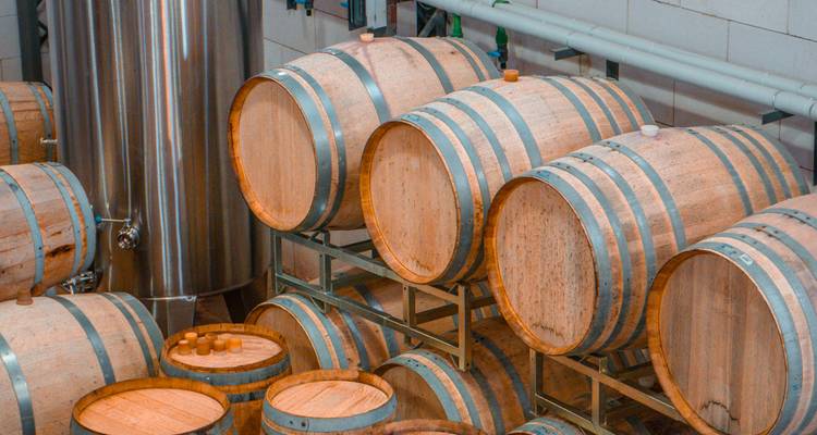Escapade gastronomique et vinicole : 7 jours à Buenos Aires et Mendoza - Signature DMC 10