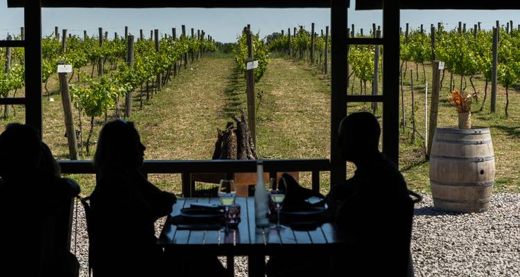 Escapade gastronomique et vinicole : 7 jours à Buenos Aires et Mendoza - Signature DMC 4