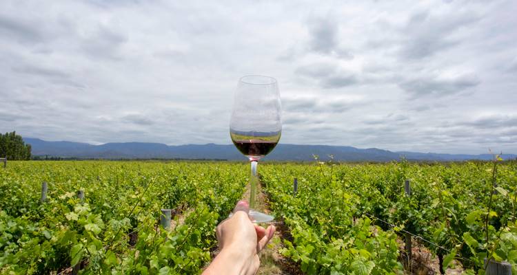 Escapade gastronomique et vinicole : 7 jours à Buenos Aires et Mendoza - Signature DMC 8