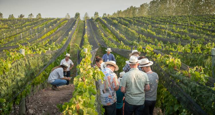 Escapade gastronomique et vinicole : 7 jours à Buenos Aires et Mendoza - Signature DMC 1