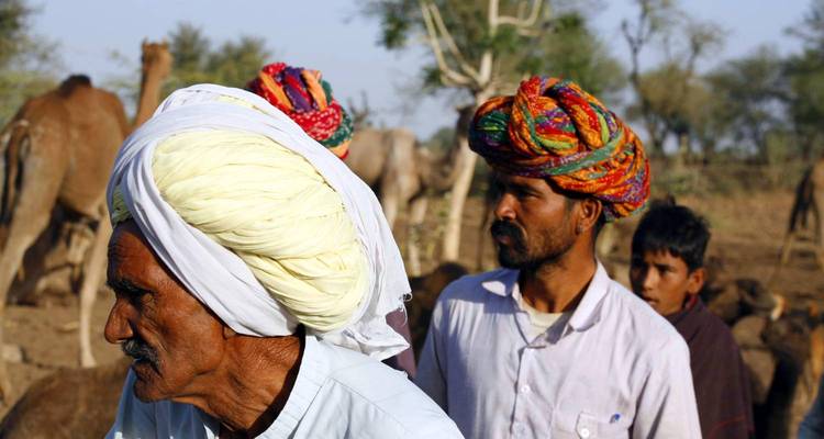 Männer in traditionellen Turbanen mit Kamelen.