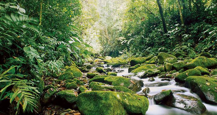 Circuit de la faune et de la flore du Costa Rica (du 15 avril au 20 décembre) - Explore! 5