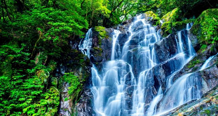 5 Days Travel Exploring Fukuoka and Northern Kyushu（Private Guide and Driver）- Umetravel - UME Travel Co. Ltd 7