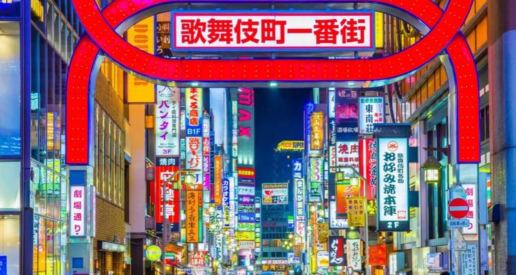 Lebendige Neonstraßenschilder in Kabukicho, Tokyo bei Nacht.