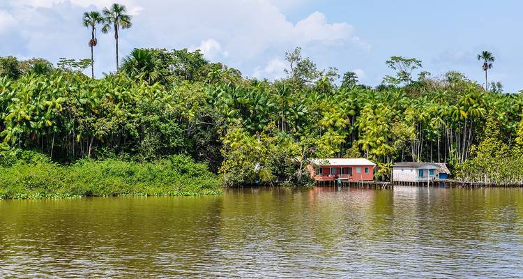 Farbenfrohe Flussuferhäuser auf Stelzen, die von dichtem Amazonas-Regenwald und Palmen an ruhigem, braunem Wasser gesäumt sind.
