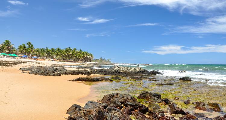 Plage tropicale avec rivage bordé de palmiers, bassins rocheux de marée et vagues turquoise sous un ciel bleu éclatant.
