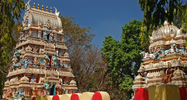Two richly decorated gopuram towers of a Hindu temple rise against a deep blue sky framed by leafy trees.