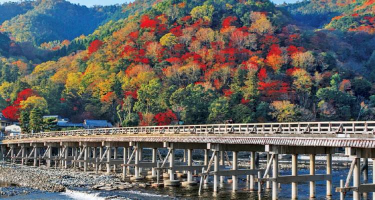 7 jours Japon éducatif（Privé avec guide et chauffeur）- Umetravel - UME Travel Co. Ltd 7