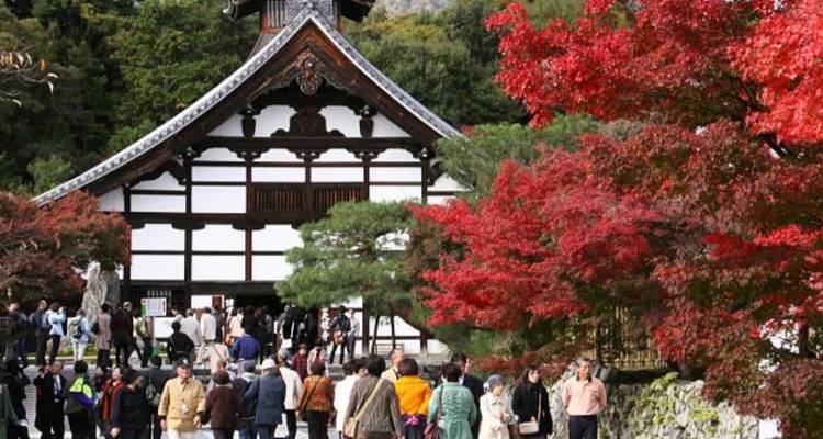 7 jours Japon éducatif（Privé avec guide et chauffeur）- Umetravel - UME Travel Co. Ltd 9