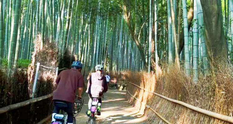 Japón Clásico de 7 Días（Circuito Familiar Privado ）- Umetravel - UME Travel Co. Ltd 7