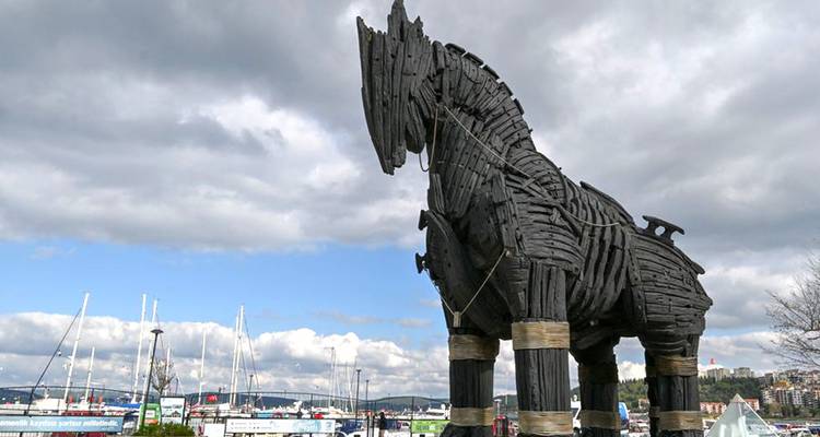 Grande structure en bois ressemblant à un cheval dans un cadre portuaire.