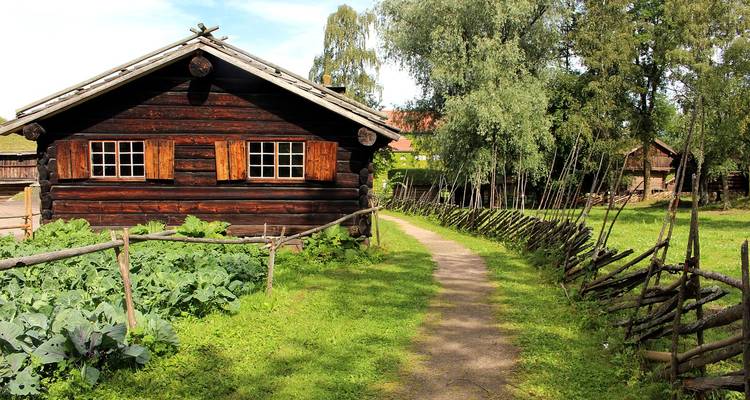 Noruega en 6 días: Oslo y Bergen en tren - STM Tours LLC 6