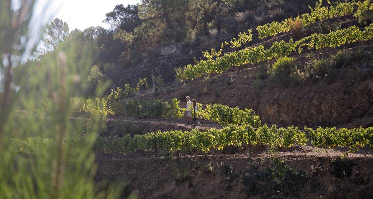 Douro Wine Region Hike Tour – Self Guided - Pedalquest Tours 2