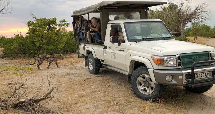 Botsuana y Zimbabue al descubierto - 13 días - On The Go Tours 4