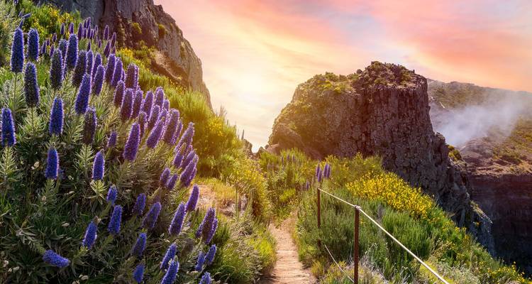 Lisbon & Madeira: City Break Meets Island Road Trip (7 destinations) - journaway 1