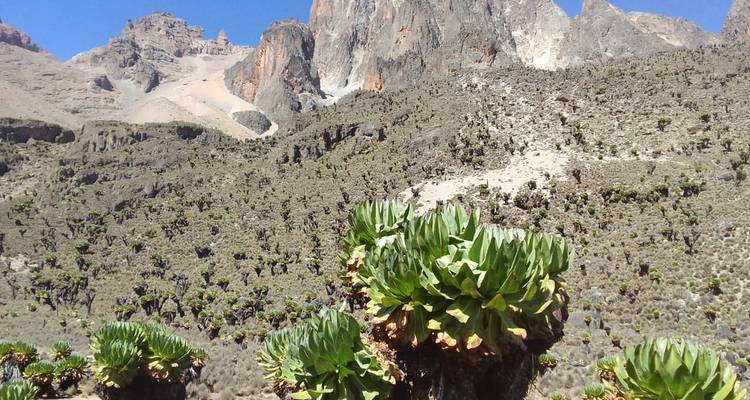 Excursión de 4 días al Monte Kenia por las rutas de Sirimon y Naromoru 2025/2026 - CKC Tours & Travel 2