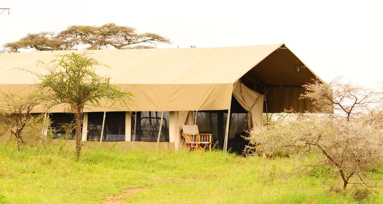 6 jours de trekking au Mont Kenya avec Ol Pejeta Safari Tour 2025/2026 - CKC Tours & Travel 2