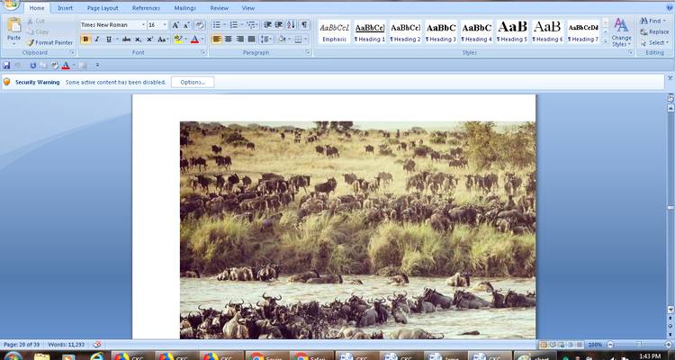 16 days Kenya Tanzania and  Zanzibar mid range flying Safari 2025/2026 - CKC Tours & Travel 2