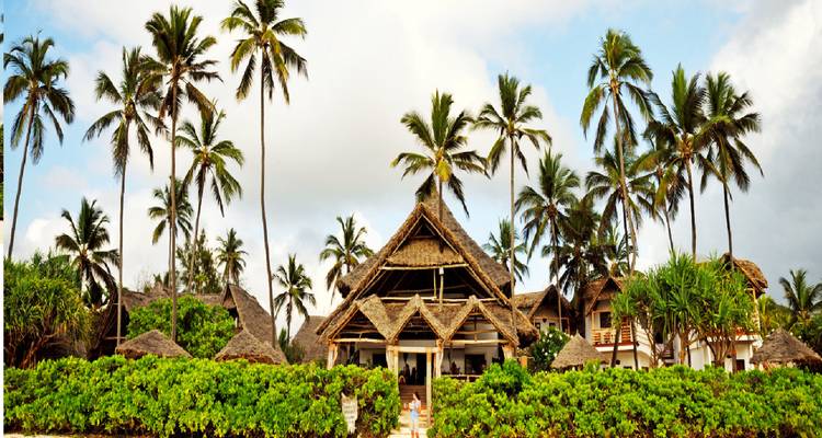 16 days Kenya Tanzania and  Zanzibar mid range flying Safari 2025/2026 - CKC Tours & Travel 3