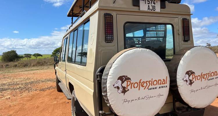 Safari vehicle in a natural setting, with clear skies and a dirt road.