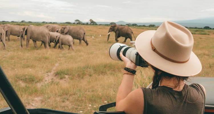 Person photographing a herd of elephants on a safari.