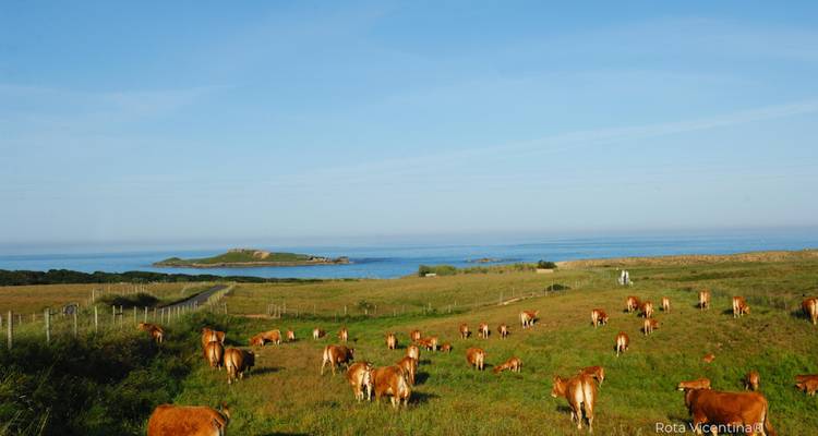 Costa Vicentina : randonnée autoguidée dans le parc naturel - Authentic Trails 2