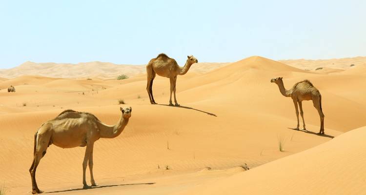 Turkmenistan Group Trip - Stantrips 1