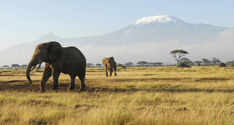6 days Masai Mara Nakuru and Amboseli mid range Joining Safari - CKC Tours & Travel 4