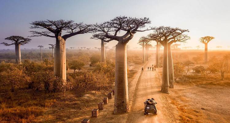 Voyages en groupe | 17 jours Madagascar en profondeur - HT Agency Tours 1
