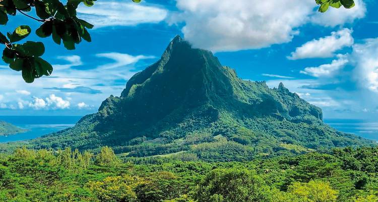 Vue spectaculaire sur la montagne avec une végétation luxuriante.