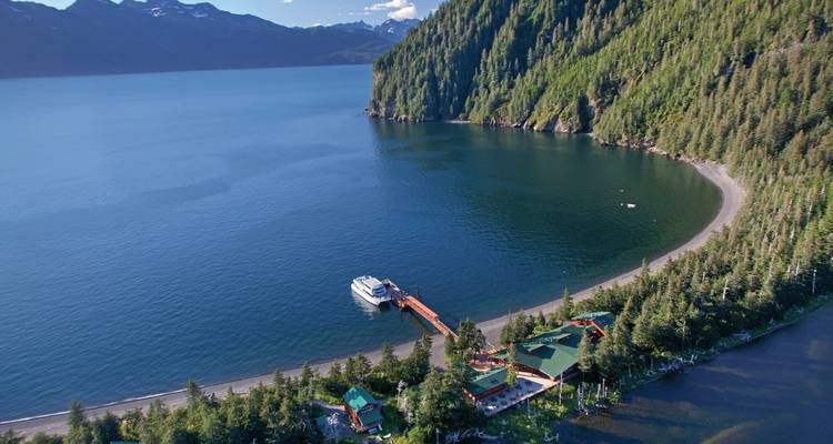 Luftaufnahme eines Küstengebiets mit dichtem Wald und einem angedockten Boot.