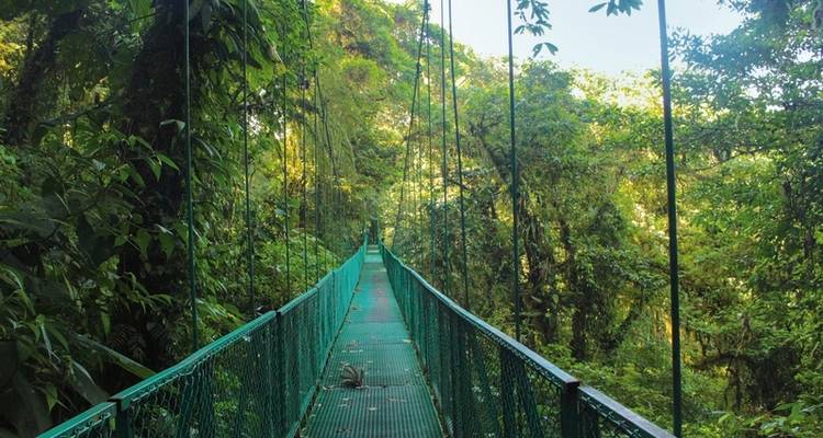 ADAC Special : Costa Rica - Le joyau de Grune entre les Caraïbes et le Pacifique - DERTOUR 2