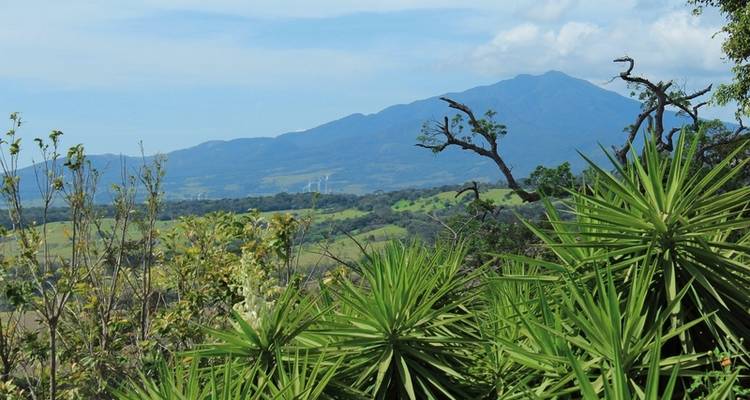 ADAC Special : Costa Rica - Le joyau de Grune entre les Caraïbes et le Pacifique - DERTOUR 3