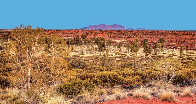 Sprawling desert landscape with Kata Tjuta visible in the distance.