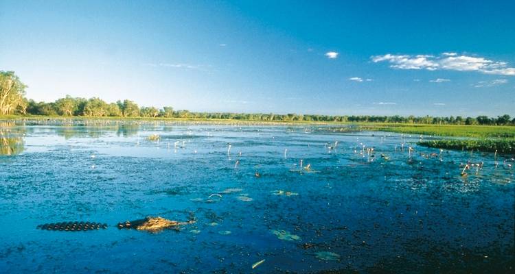 Top End tropical - MEIERS WELTREISEN 6