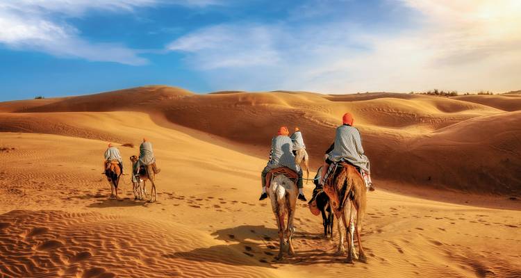 Des chameaux avec des cavaliers marchant sur les dunes de sable dans le désert.