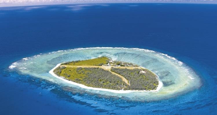 Queensland en exclusiva: Arrecife y selva tropical - MEIERS WELTREISEN 2