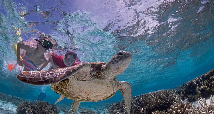 Queensland en exclusiva: Arrecife y selva tropical - MEIERS WELTREISEN 7