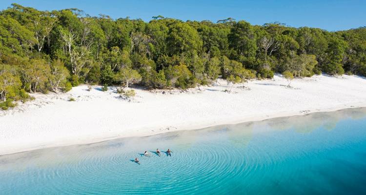 People swimming in a clear blue lake surrounded by forest.