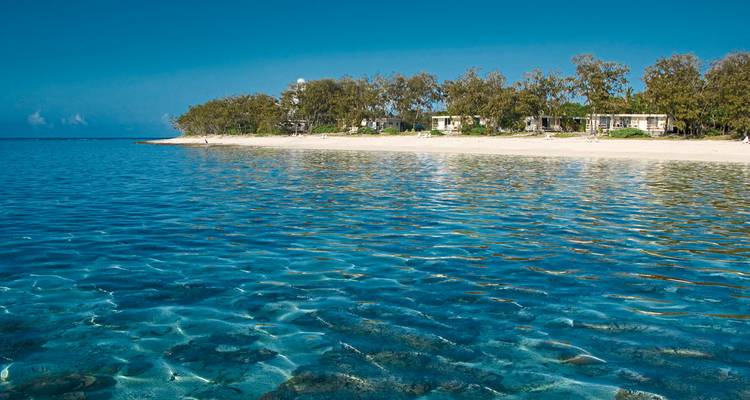 View of a beach with clear water and trees.