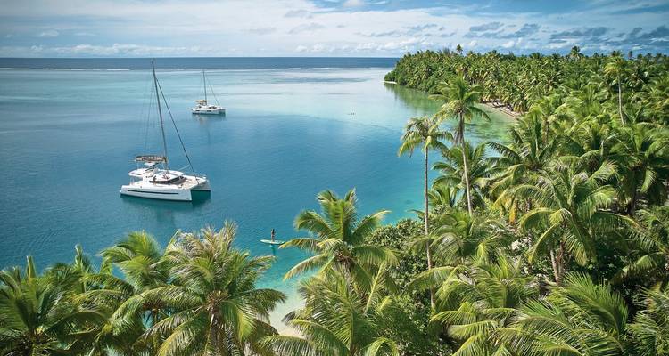 Sailboats near a lush island with palm trees.