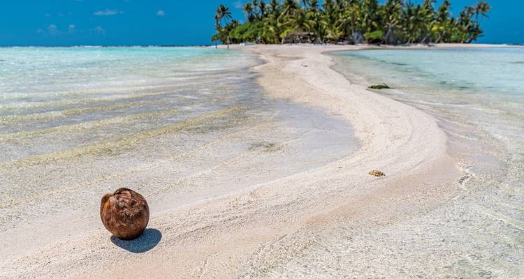 Coconut on a sandy beach leading to a small tropical island.